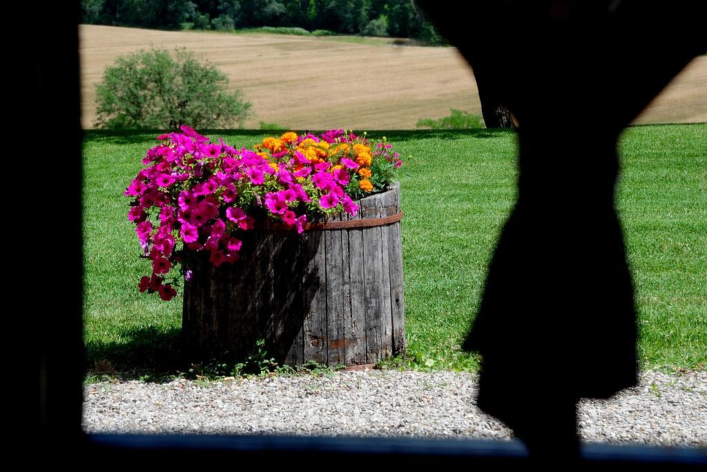 Agriturismo Castello Saltemnano Buonconvento Rom bilde