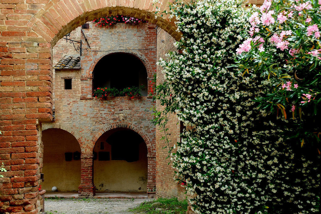 Agriturismo Castello Saltemnano Buonconvento Eksteriør bilde