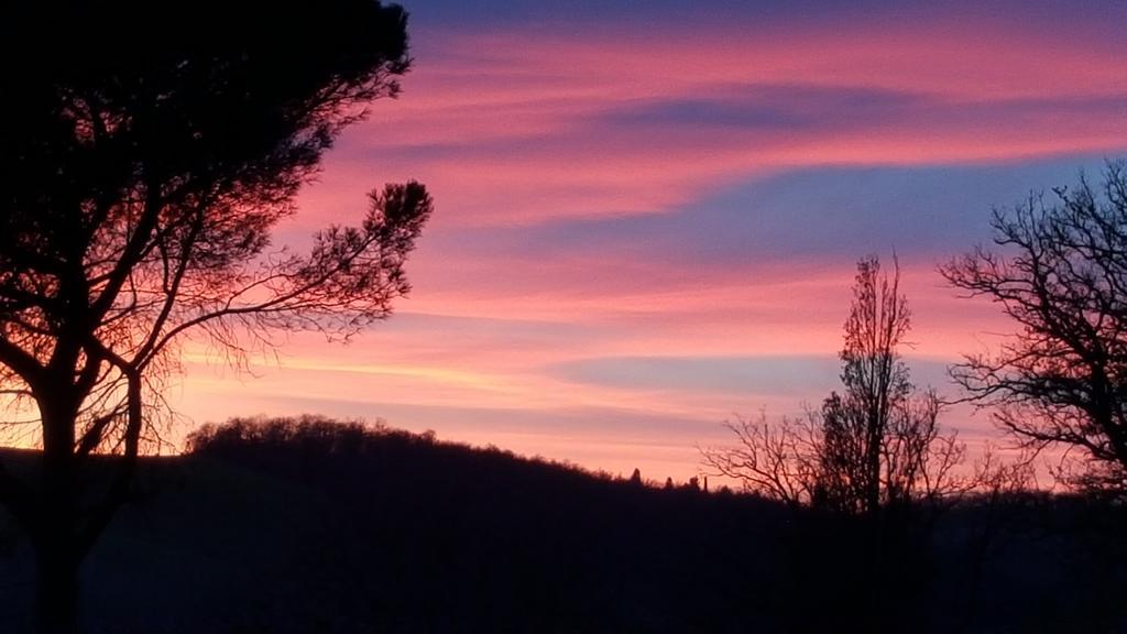 Agriturismo Castello Saltemnano Buonconvento Eksteriør bilde