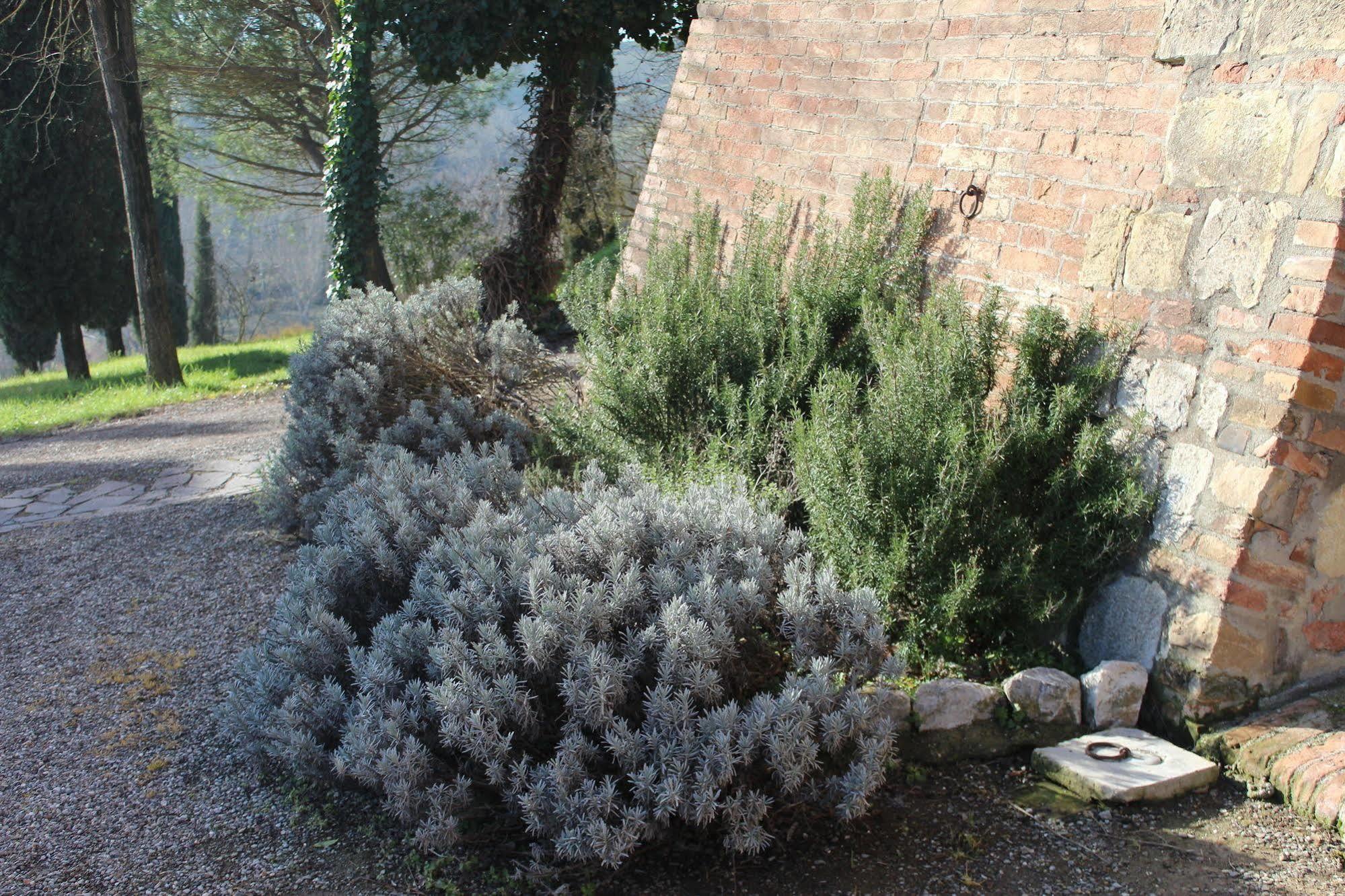 Agriturismo Castello Saltemnano Buonconvento Eksteriør bilde